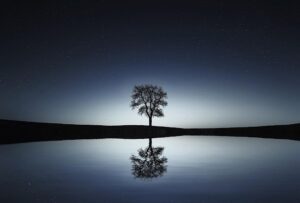 Mehr über den Artikel erfahren Sound of Silence – Gedanken